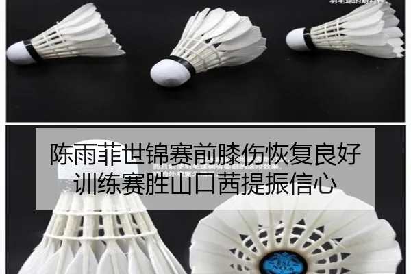 chen-yu-fei-shi-jin-sai-qian-xi-shang-hui-fu-liang-hao-xun-lian-sai-sheng-shan-kou-qian-ti-zhen-xin-xin-2-415.jpg