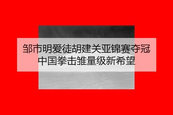 邹市明爱徒胡建关亚锦赛夺冠 中国拳击雏量级新希望